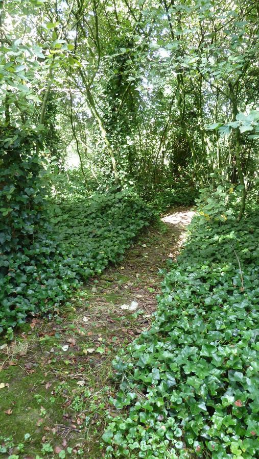 Bnb Heimdall Brecht Extérieur photo